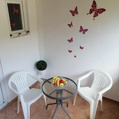 Apartman Ana Pula